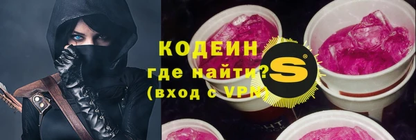 индика Нея