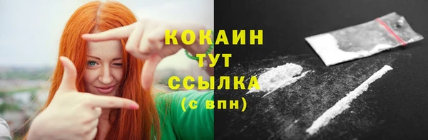 индика Нея