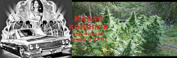 индика Нея