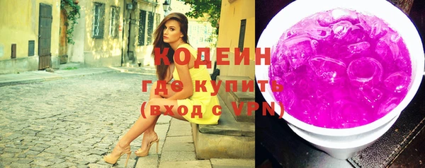 индика Нея