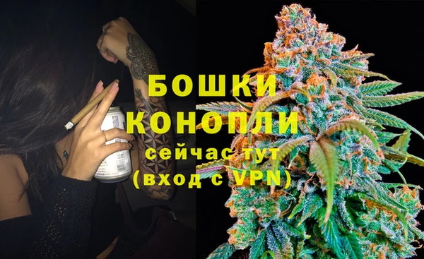эйфоретик Нефтекумск