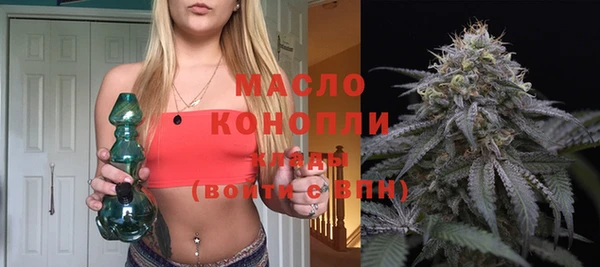 индика Нея