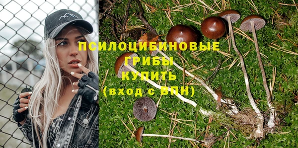 бутик Новозыбков